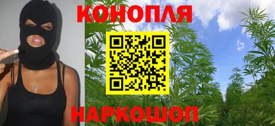 шишки Анапа