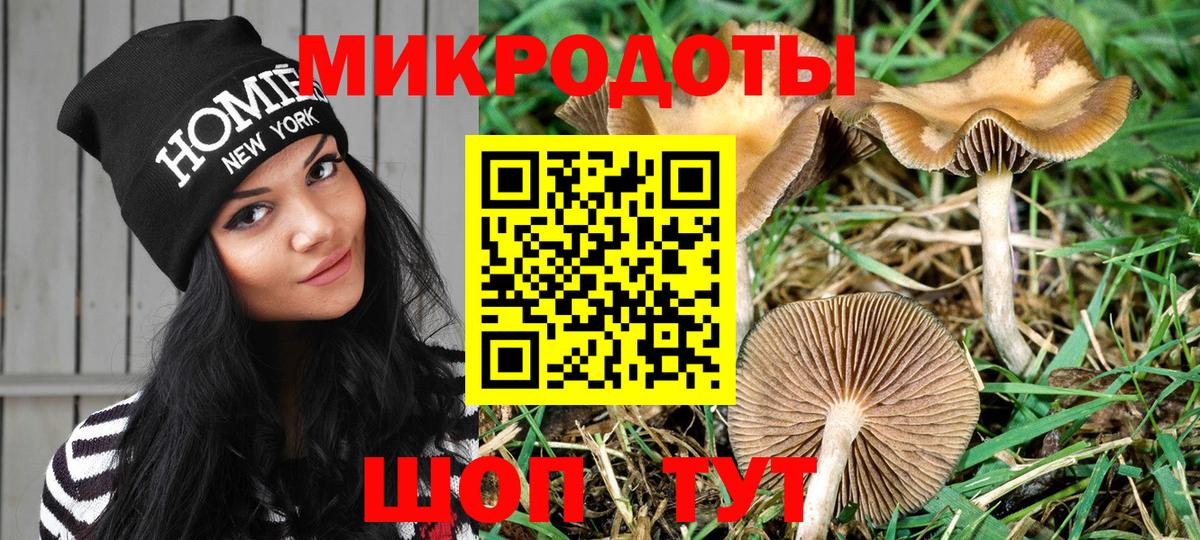 Псилоцибиновые грибы Cubensis Борзя